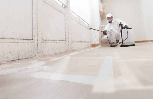 24/7 Emergency Basement Mold Remediation experts in Marshall, MN